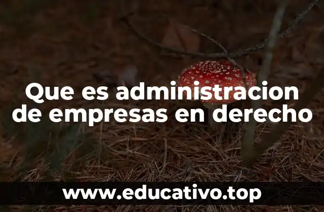 Que es administracion de empresas en derecho