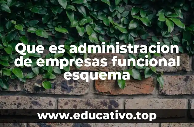 Que es administracion de empresas funcional esquema