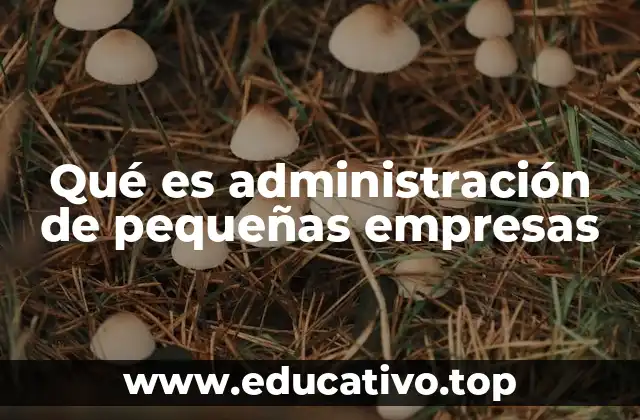 Qué es administración de pequeñas empresas