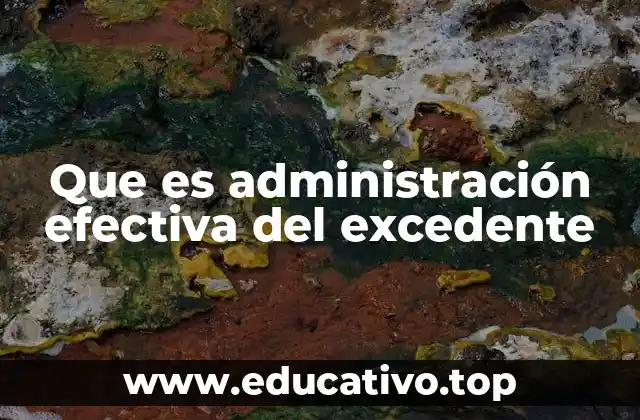 Que es administración efectiva del excedente