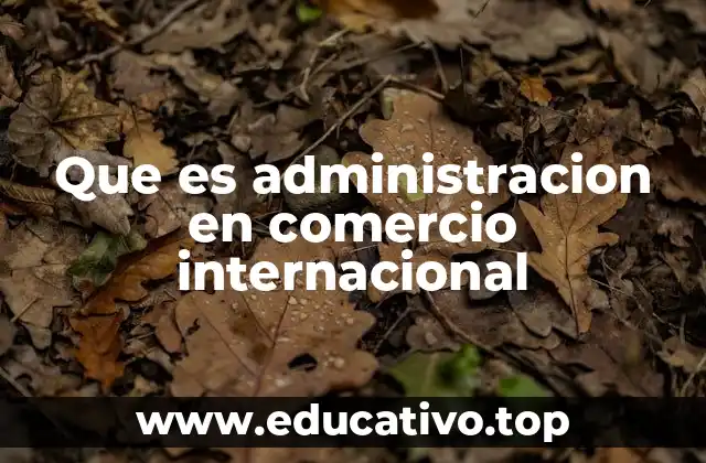 Que es administracion en comercio internacional