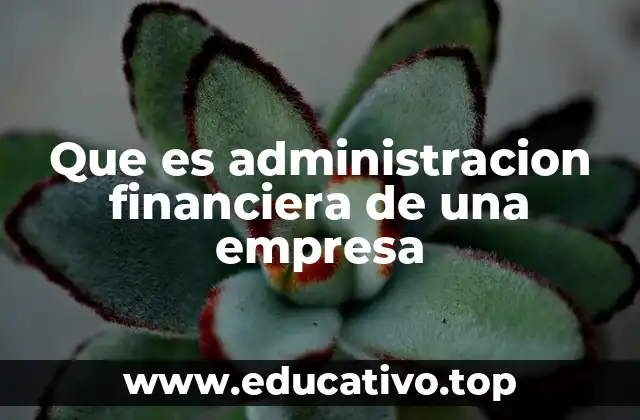 Que es administracion financiera de una empresa