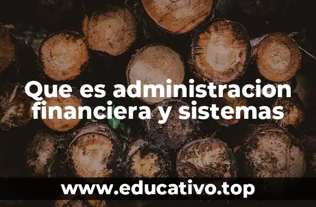 Que es administracion financiera y sistemas