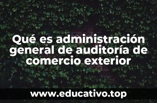 El papel de las instituciones de auditoría en el comercio internacional