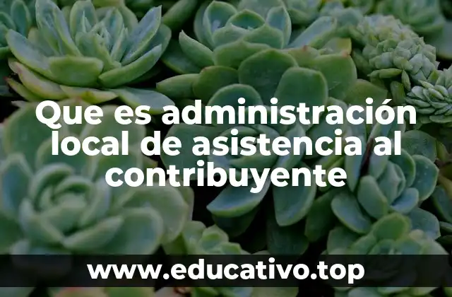 Que es administración local de asistencia al contribuyente