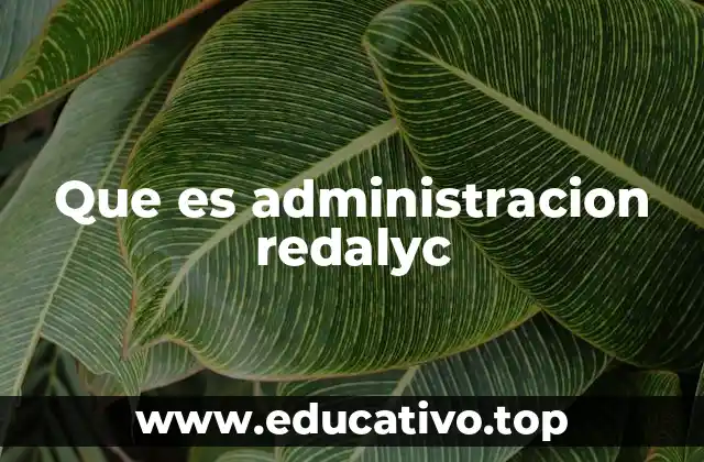 Que es administracion redalyc