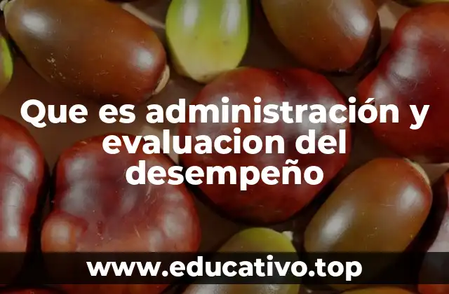 Que es administración y evaluacion del desempeño