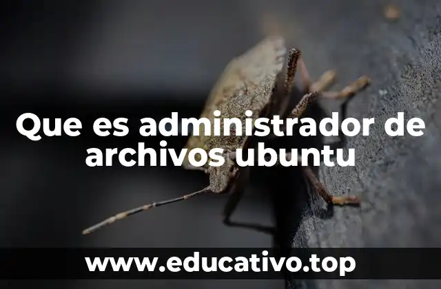 Que es administrador de archivos ubuntu
