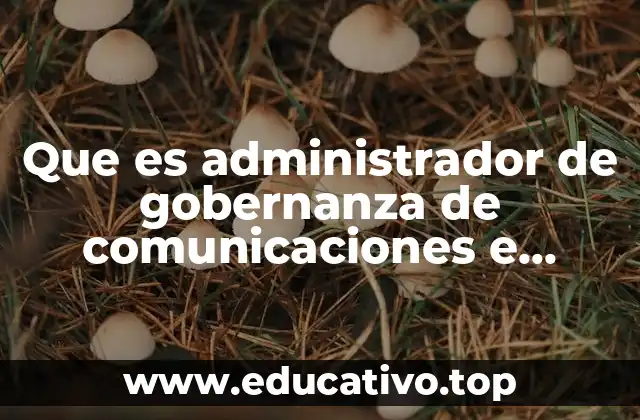 La importancia de la gobernanza en el manejo de información