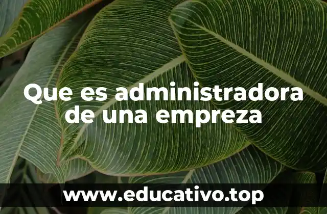 Que es administradora de una empreza