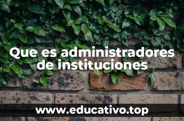 Que es administradores de instituciones