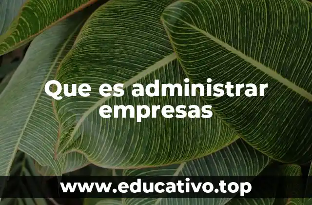Que es administrar empresas