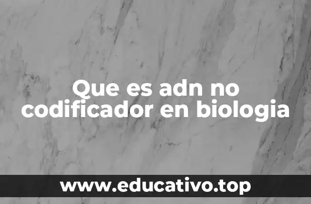 El papel del ADN no codificante en la expresión génica
