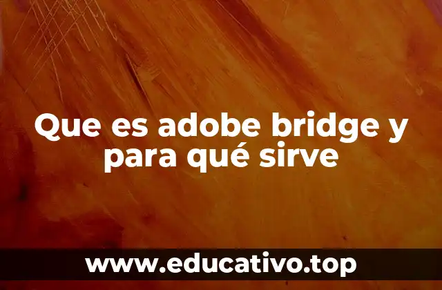 Que es adobe bridge y para qué sirve