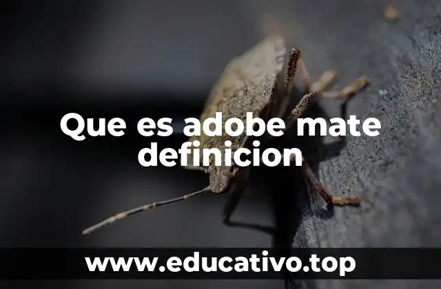 Una herramienta clave en la edición de video y efectos visuales