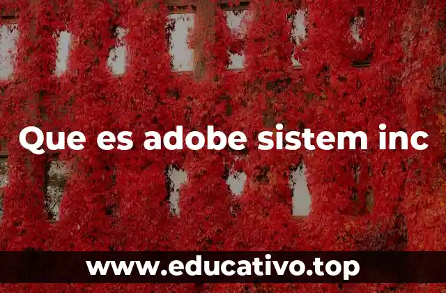 Que es adobe sistem inc