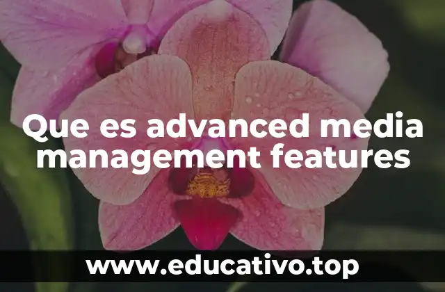 Que es advanced media management features