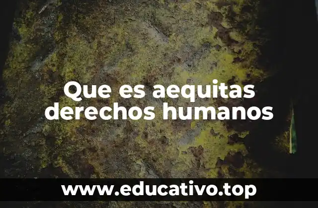 Que es aequitas derechos humanos