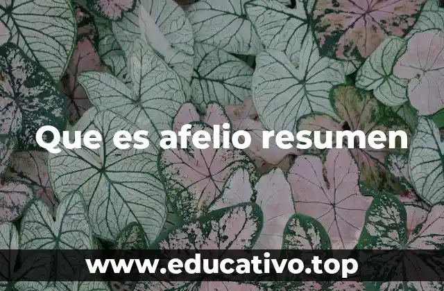 Que es afelio resumen
