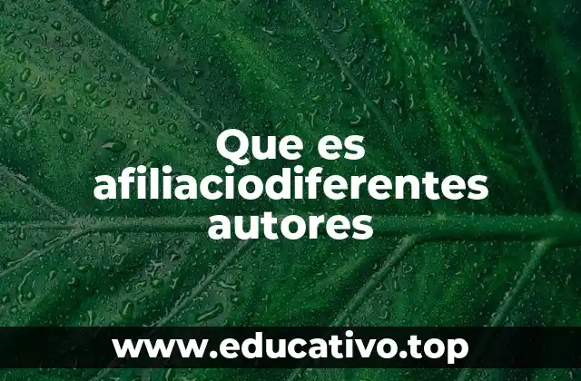 Que es afiliaciodiferentes autores