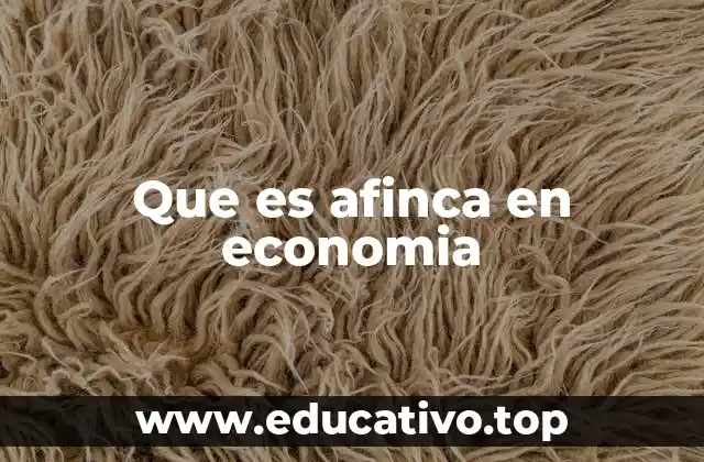 Que es afinca en economia