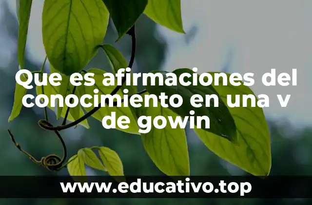 Que es afirmaciones del conocimiento en una v de gowin