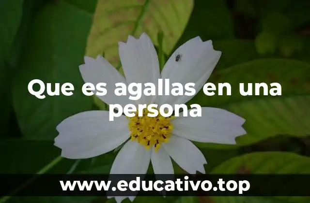 Que es agallas en una persona