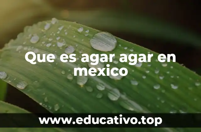 Que es agar agar en mexico