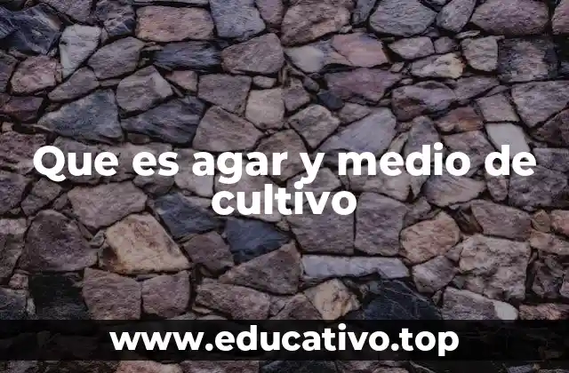 Que es agar y medio de cultivo