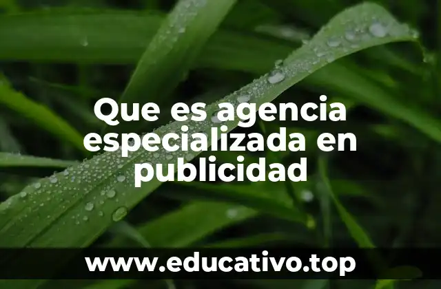 Que es agencia especializada en publicidad