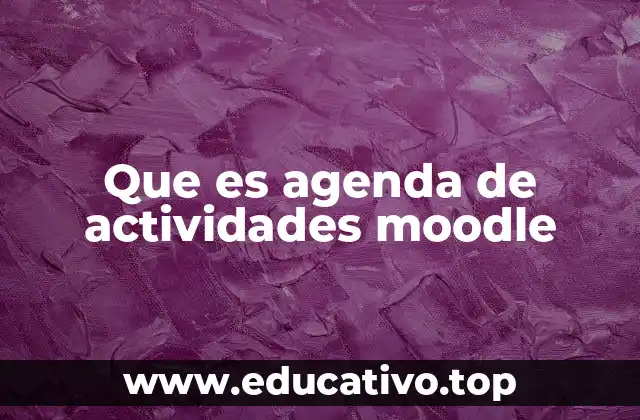 La importancia de la organización visual en cursos en línea
