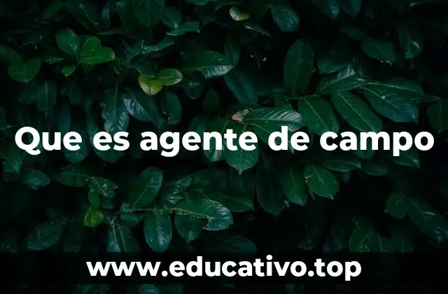 Que es agente de campo