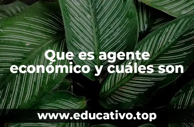 Que es agente económico y cuáles son