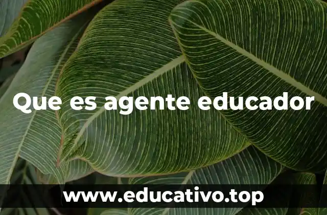 Que es agente educador