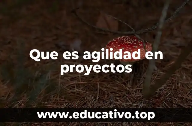 La importancia de la agilidad en el entorno empresarial actual