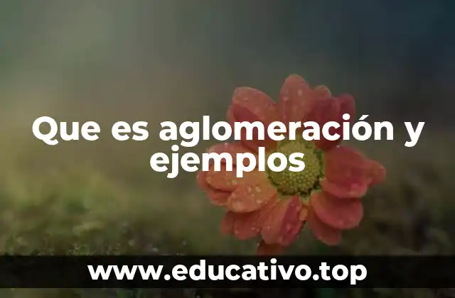Que es aglomeración y ejemplos