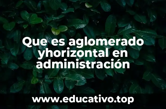 Que es aglomerado yhorizontal en administración
