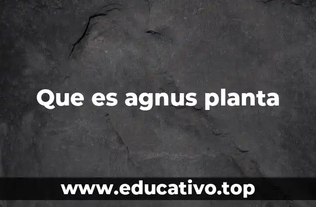 Que es agnus planta
