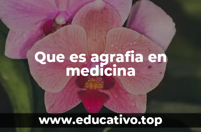 Trastornos neurológicos y la escritura