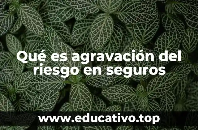 Qué es agravación del riesgo en seguros