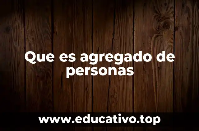 Que es agregado de personas