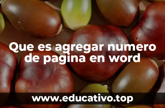 Que es agregar numero de pagina en word