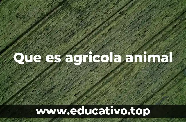 Que es agricola animal