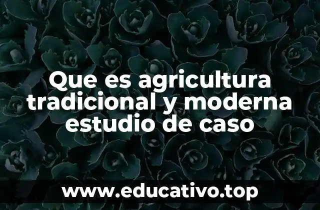 Que es agricultura tradicional y moderna estudio de caso