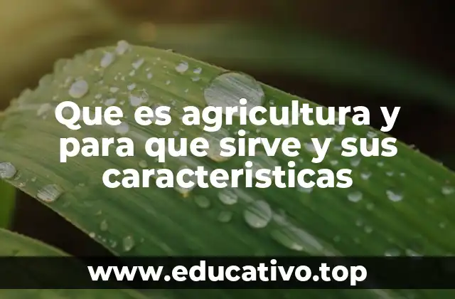 Que es agricultura y para que sirve y sus caracteristicas