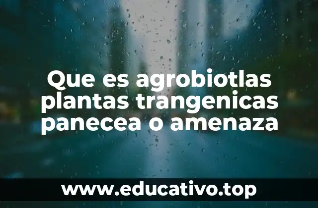 Que es agrobiotlas plantas trangenicas panecea o amenaza