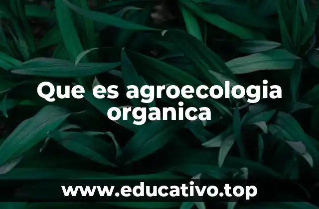 Que es agroecologia organica