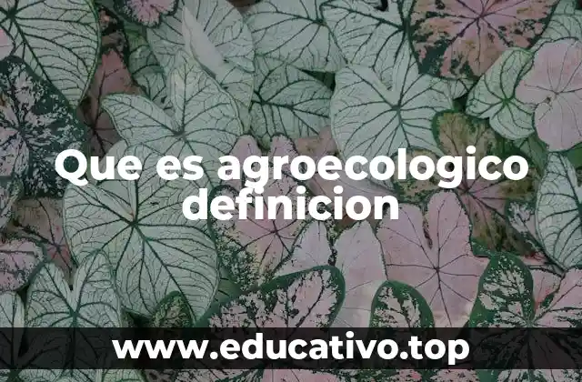 Que es agroecologico definicion