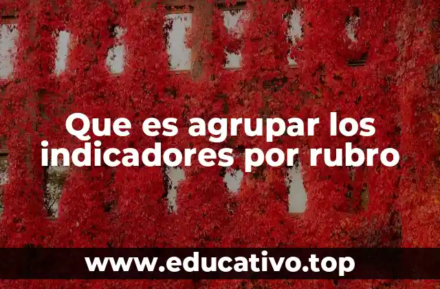 Que es agrupar los indicadores por rubro