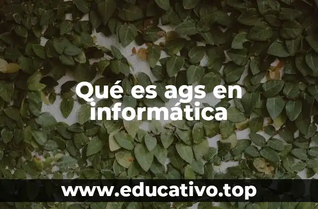 Qué es ags en informática